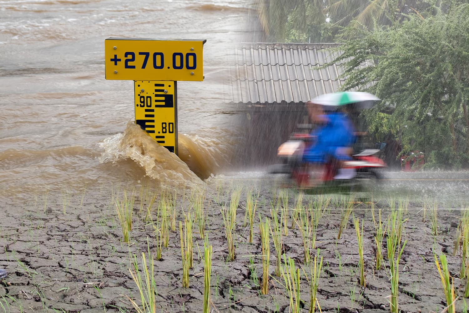 เปิดภาพรวมสถานการณ์ฝนในไทยปี 2568 ‘ท่วม’ หรือ ‘แล้ง’?