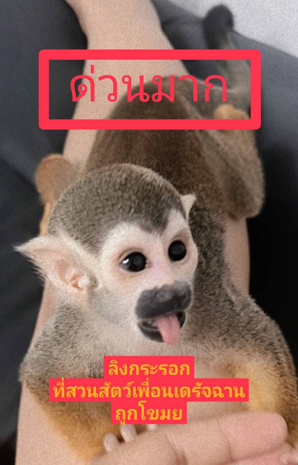 684298733_1455027719754810_3847759243687059416_n.jpg