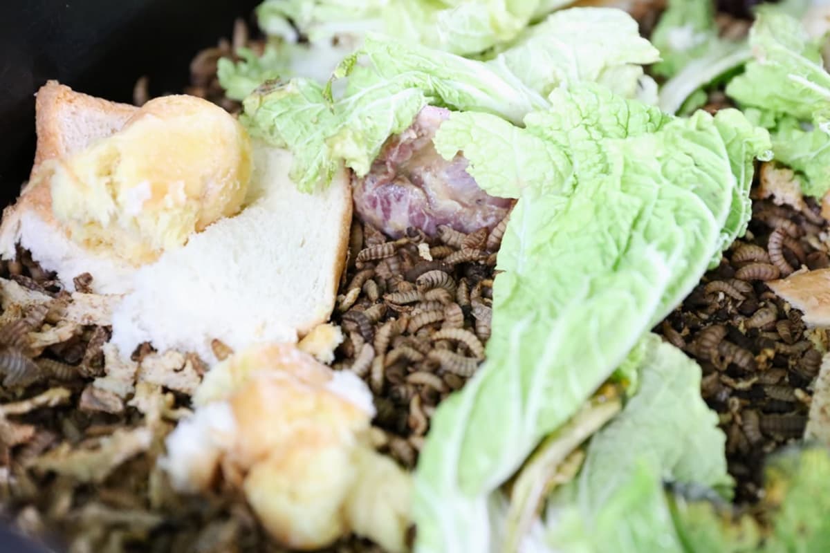 CP Axtra-SPACEBAR-Photo03.jpg