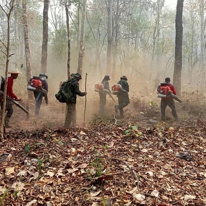 Chiang Mai-is-shrouded-in-toxic-dust-PM2-SPACEBAR-Photo V03-1.jpg