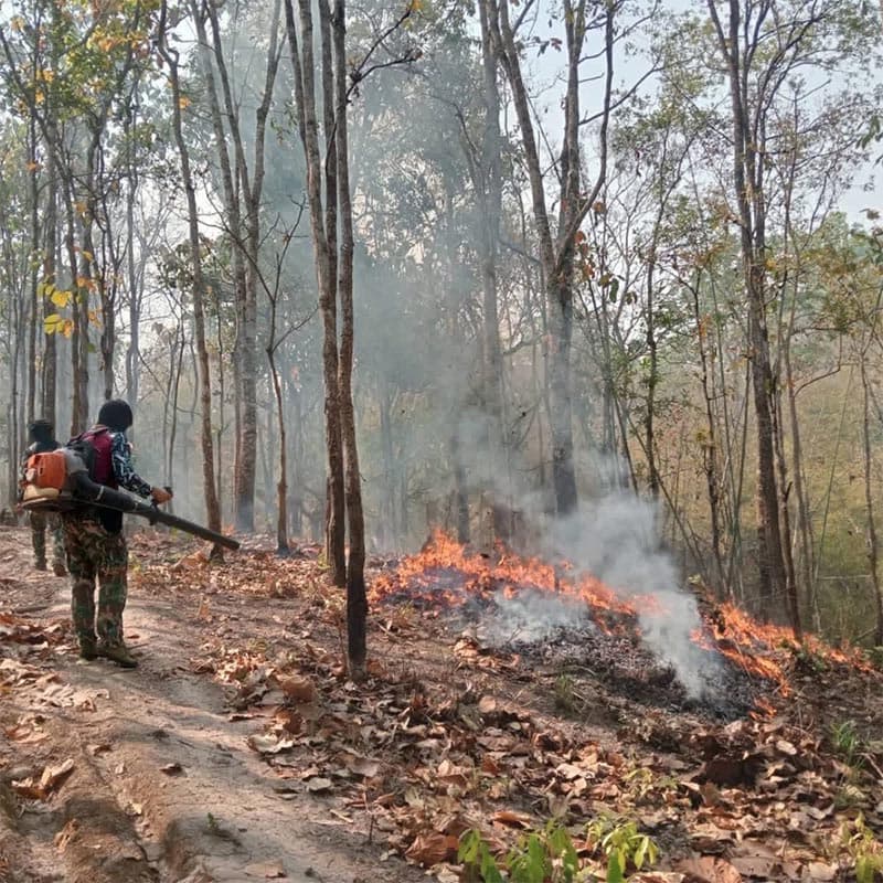 Chiang Mai-is-shrouded-in-toxic-dust-PM2-SPACEBAR-Photo V04-1.jpg