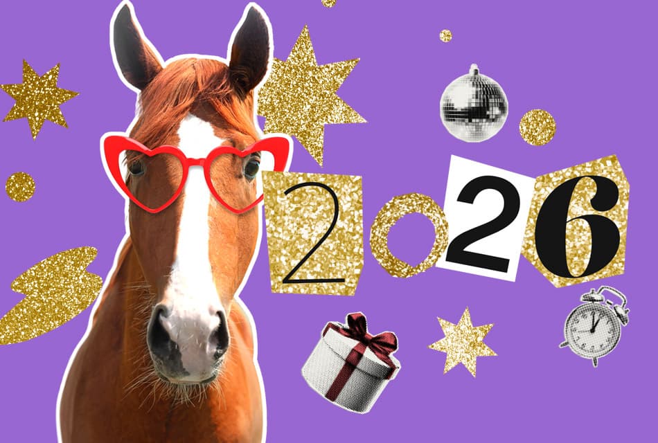 ปี ๒๕๖๙ ม้ายังมาไม่ถึง ยังไม่ต้องรีบชง เทพองค์ใหม่ยังไม่ได้รับตำแหน่ง