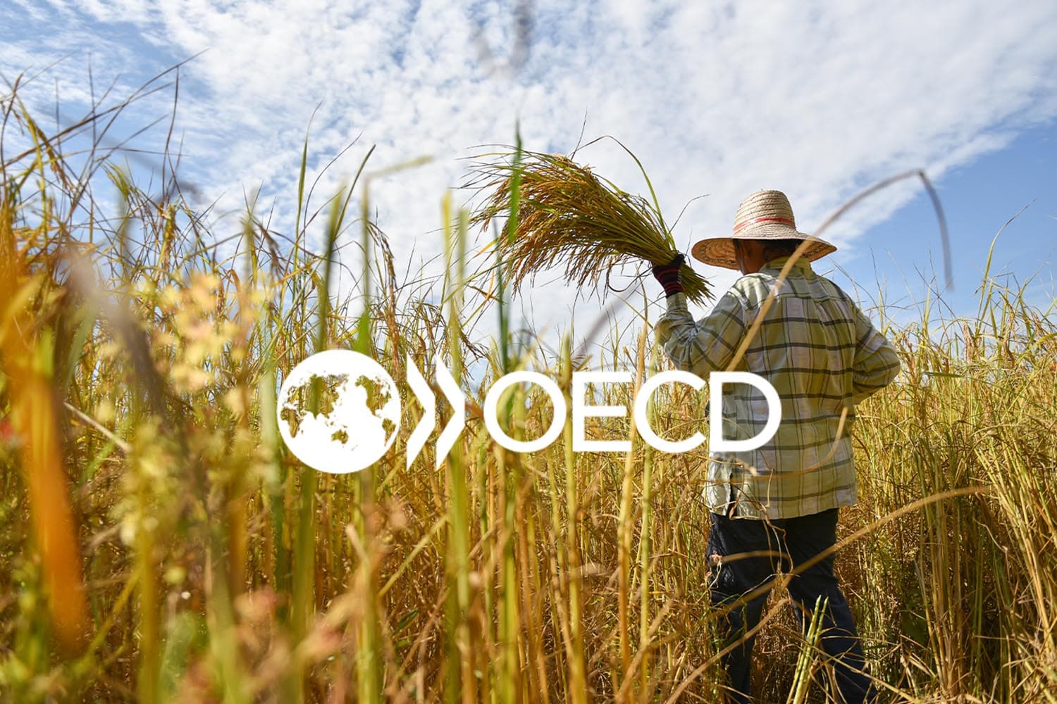 ยกระดับเกษตร เจาะลึกข้อดี-ข้อเสีย  เมื่อเข้า OECD บังคับให้เราต้องโต