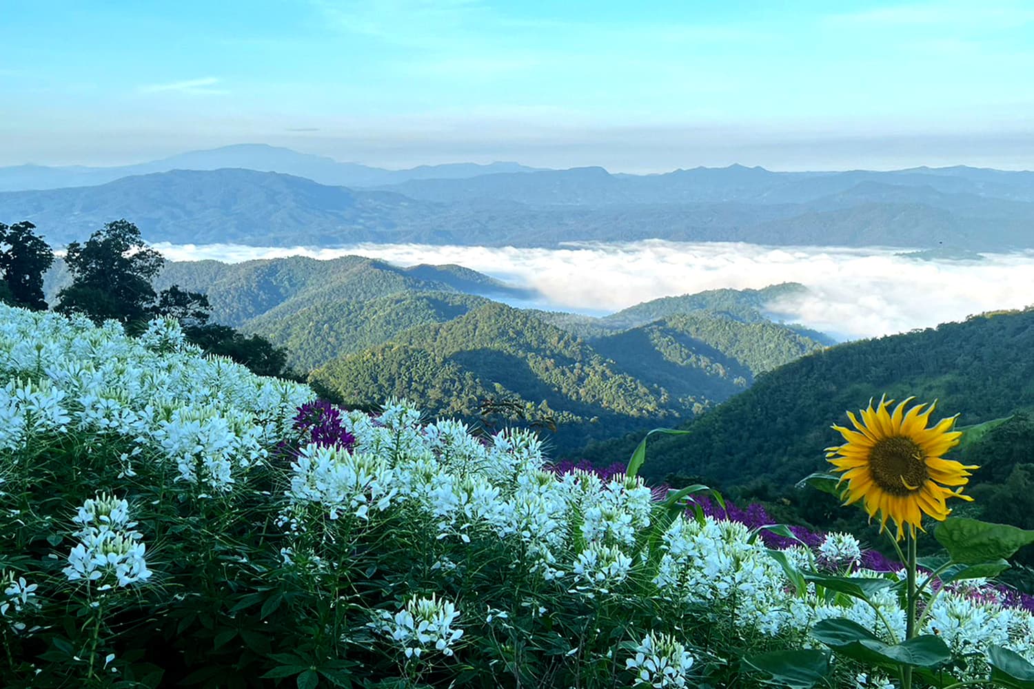 กรมอุตุฯ ประกาศ 23 ต.ค.นี้ ประเทศไทยเข้าสู่ฤดูหนาวอย่างเป็นทางการ