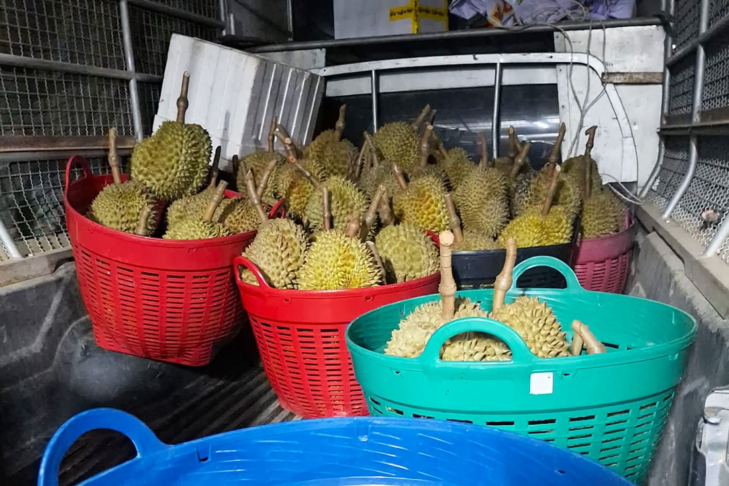 ฝ่าวิกฤตราคาทุเรียนตกต่ำ ทำอย่างไรให้ไทยยังยืนหนึ่งในตลาดโลก