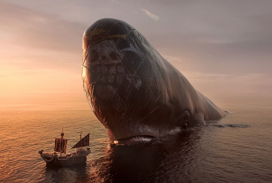 มุ่งหน้าสู่แกรนด์ไลน์! รวมภาพสวยๆ จาก One Piece ซีซัน 2