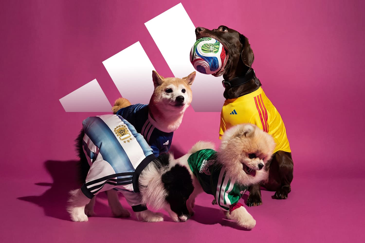 PhotoStory-adidas World Cup 2026 Pet Collection Jersey