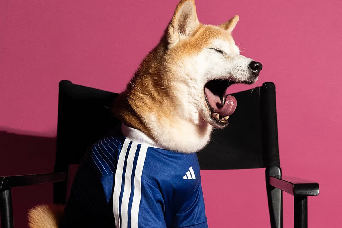 PhotoStory-adidas World Cup 2026 Pet Collection Jersey