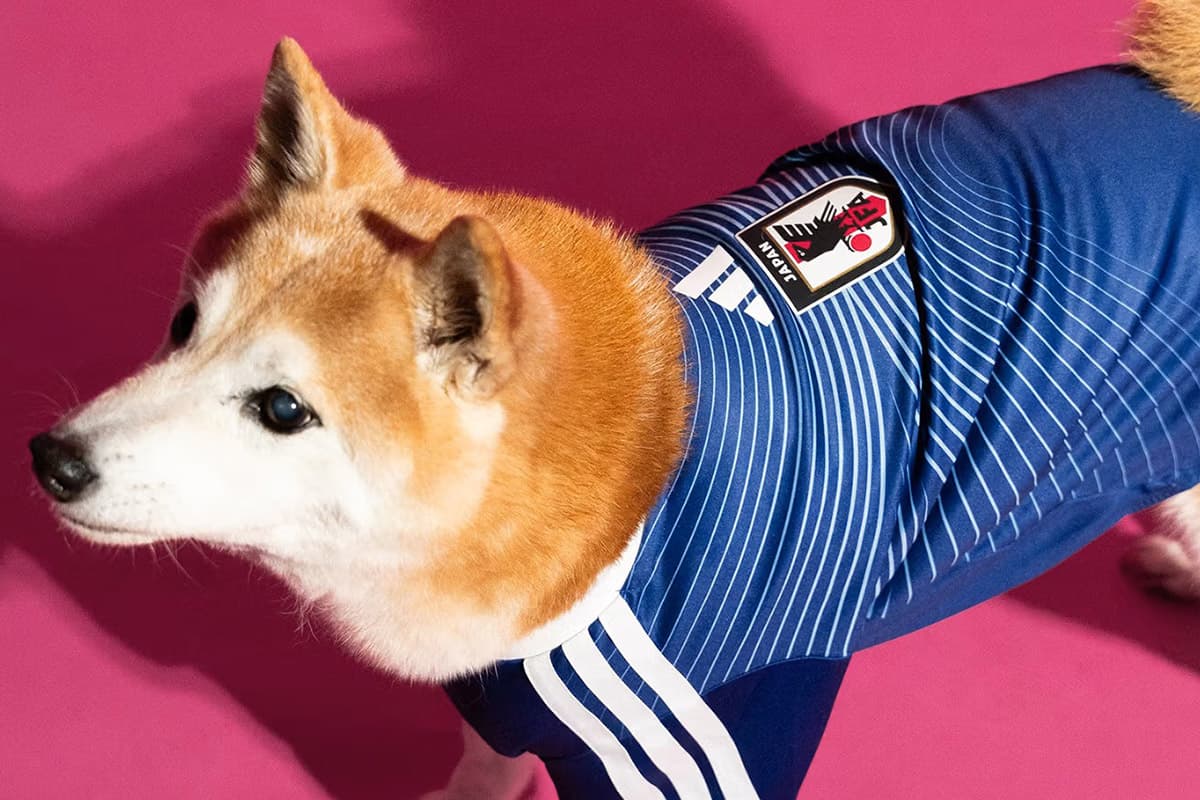 PhotoStory-adidas World Cup 2026 Pet Collection Jersey