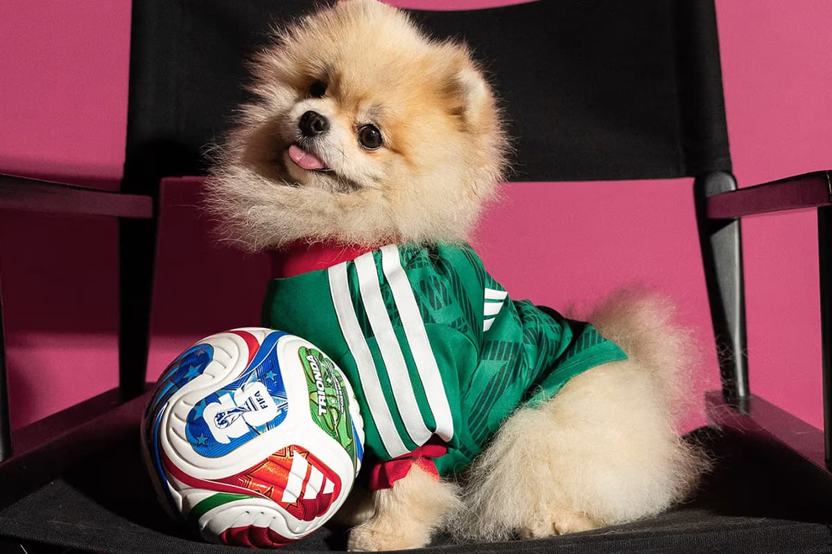 PhotoStory-adidas World Cup 2026 Pet Collection Jersey