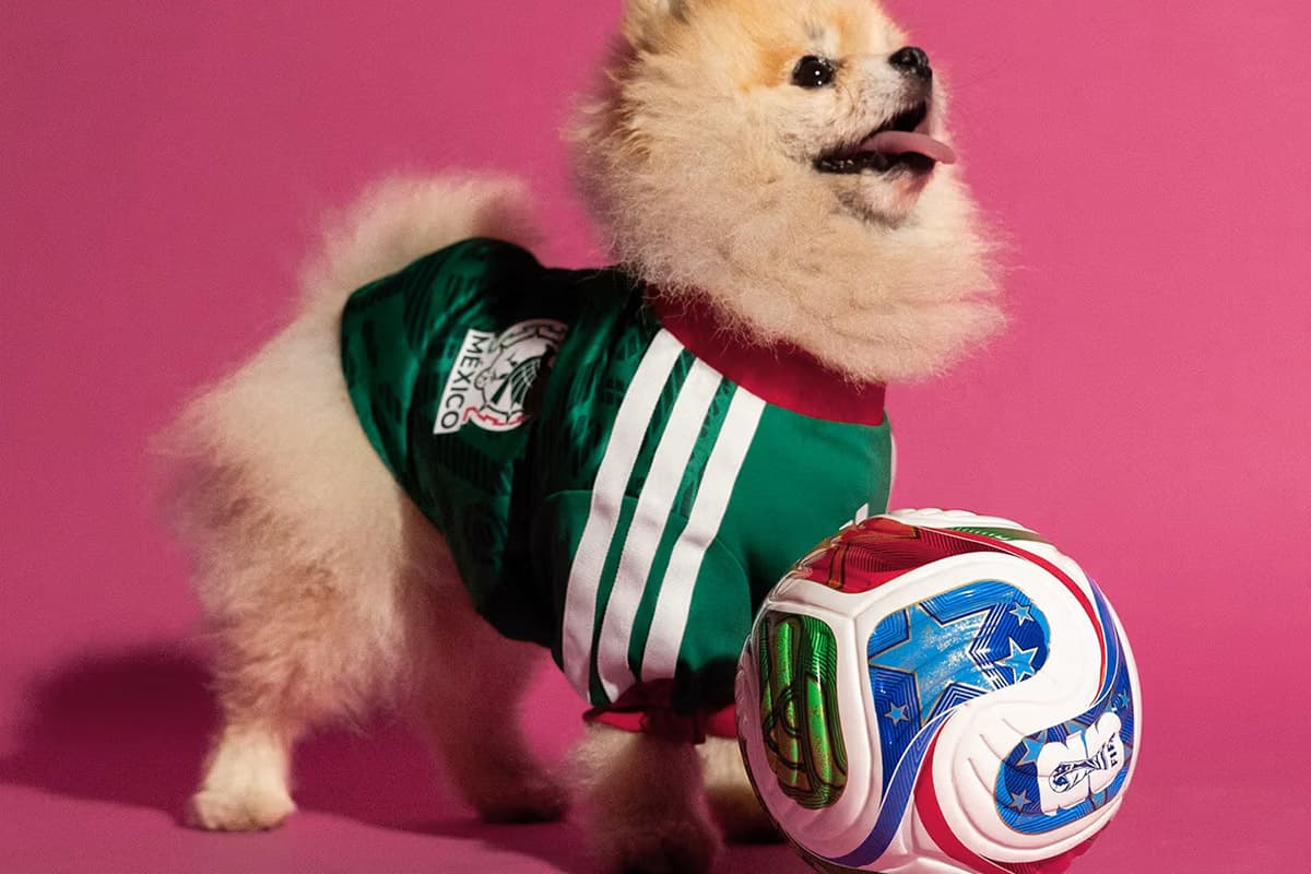 PhotoStory-adidas World Cup 2026 Pet Collection Jersey