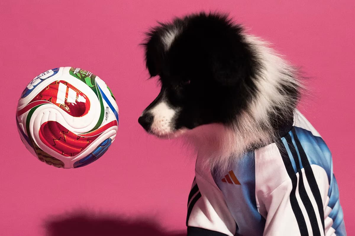 PhotoStory-adidas World Cup 2026 Pet Collection Jersey