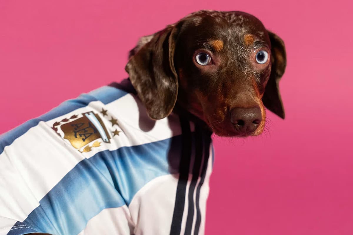 PhotoStory-adidas World Cup 2026 Pet Collection Jersey