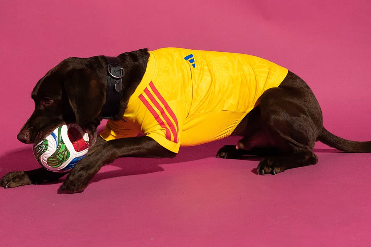 PhotoStory-adidas World Cup 2026 Pet Collection Jersey