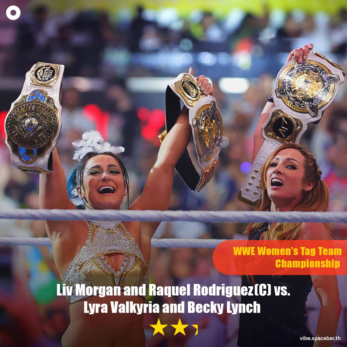 Photo_story_and_review_Wrestle_Mania_41_Night_2_SPACEBAR_Photo06_fa065e6d27.jpg