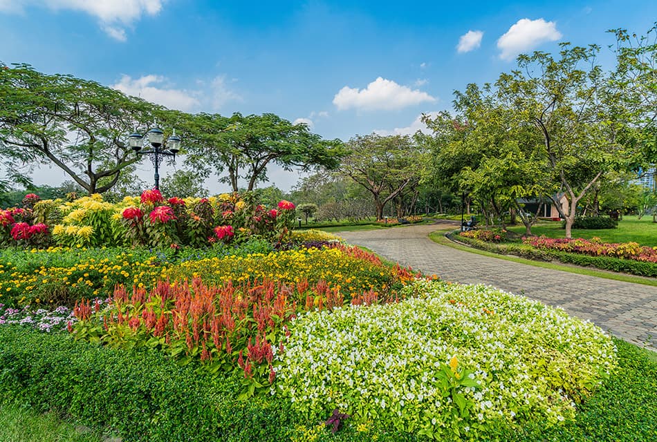 ‘สวนสมเด็จพระนางเจ้าสิริกิติ์ฯ’ ป่าเล็กกลางเมืองใหญ่ ฟอกอากาศบริสุทธิ์