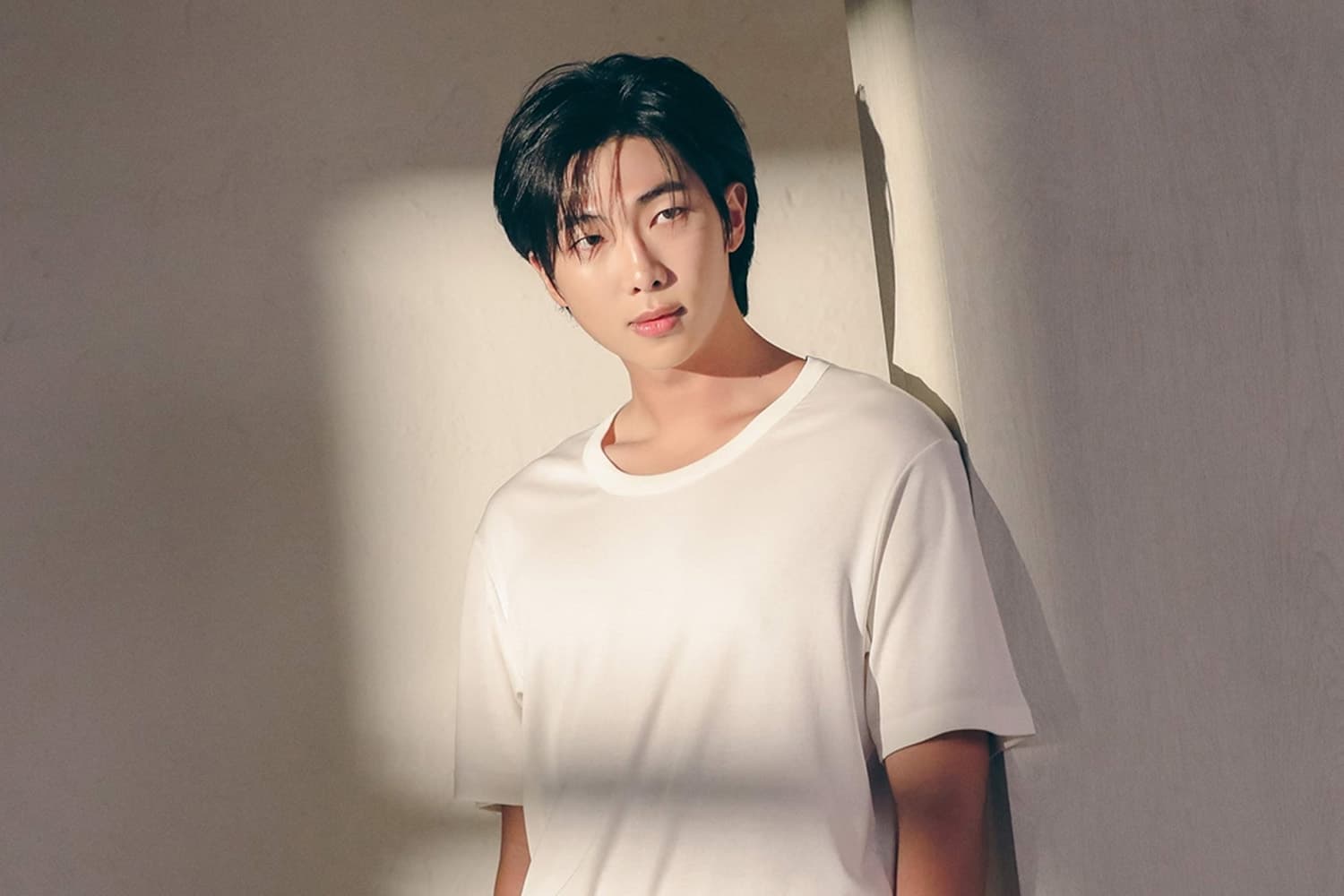 RM BTS สนับสนุนมรดกศิลปะเกาหลี สมทบทุนทำแค็ตตาล็อกจัดพิมพ์ภาพวาดโบราณในพิพิธภัณฑ์ทั่วโลก