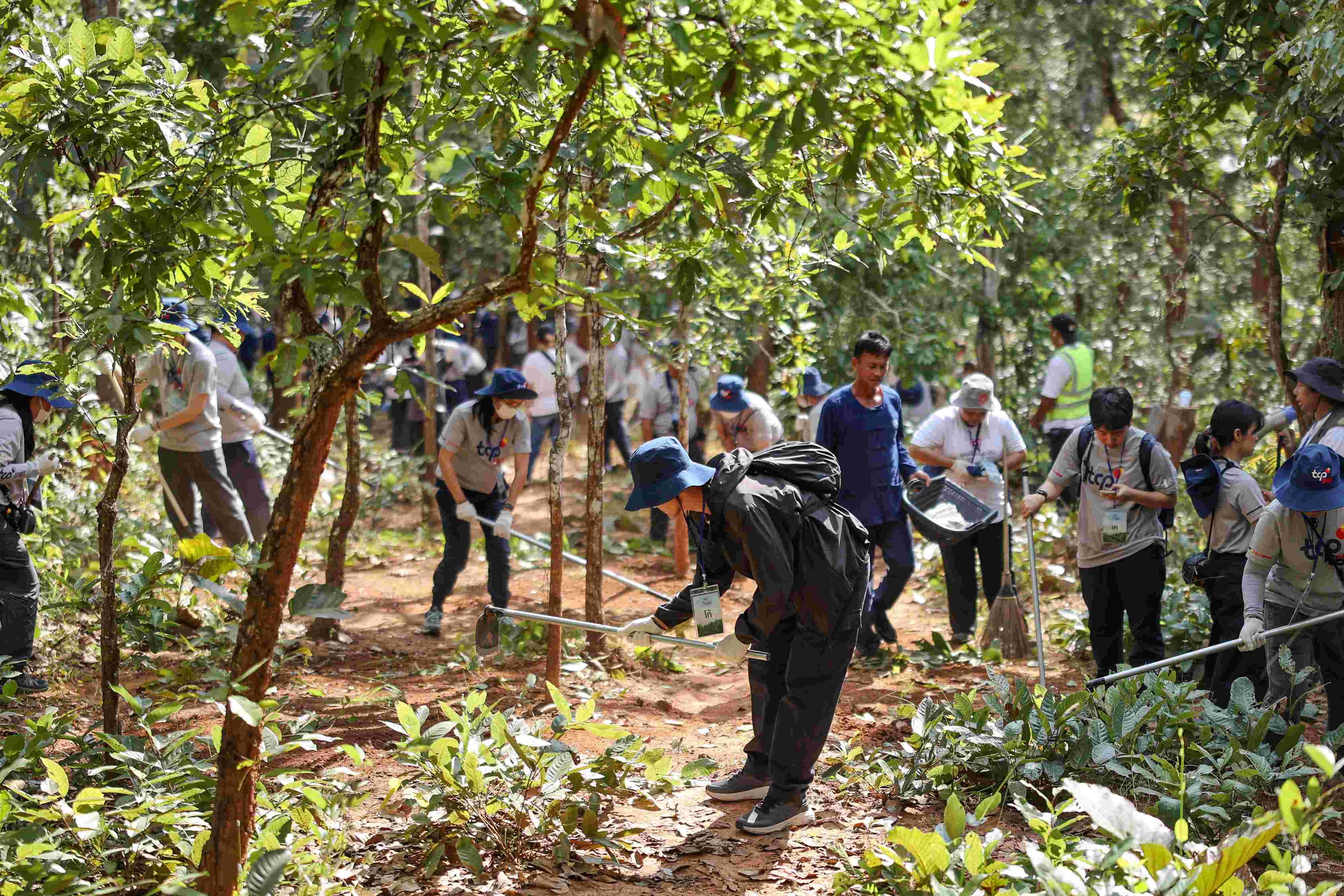 TCP Spirit 2025_008_0.jpg