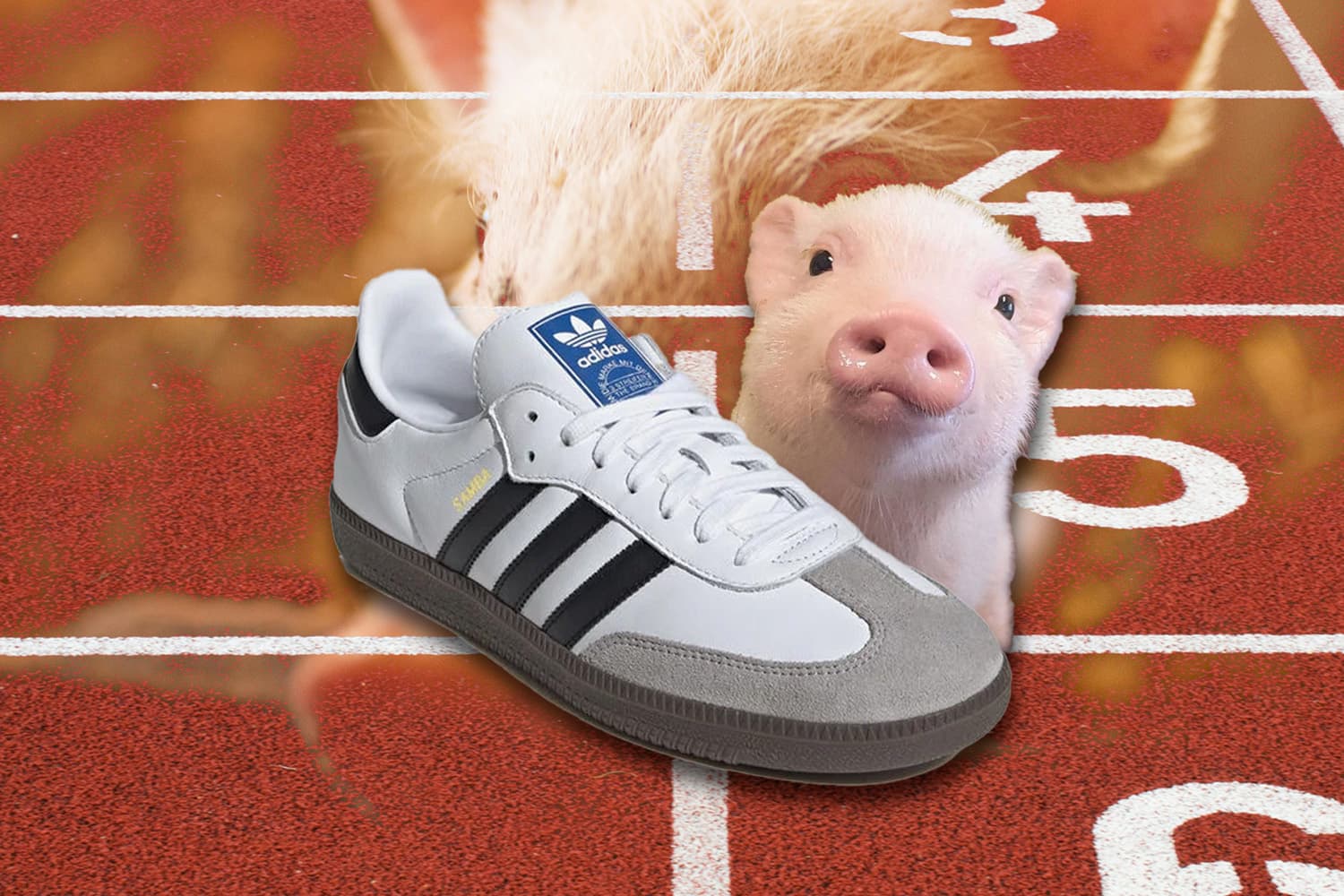 Turkey_fines_Adidas_for_pigskin_shoes_SPACEBAR_Hero_a55a94df7a.jpg