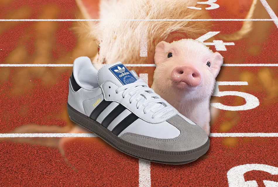 Turkey_fines_Adidas_for_pigskin_shoes_SPACEBAR_Thumbnail_3d99494655.jpg
