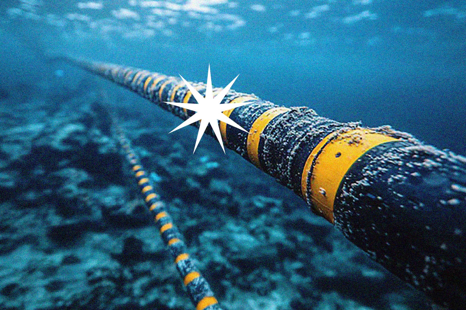 ทำอะไรก่อนดี ถ้าเคเบิ้ลใต้น้ำพัง อินเทอร์เน็ตเข้าไม่ได้