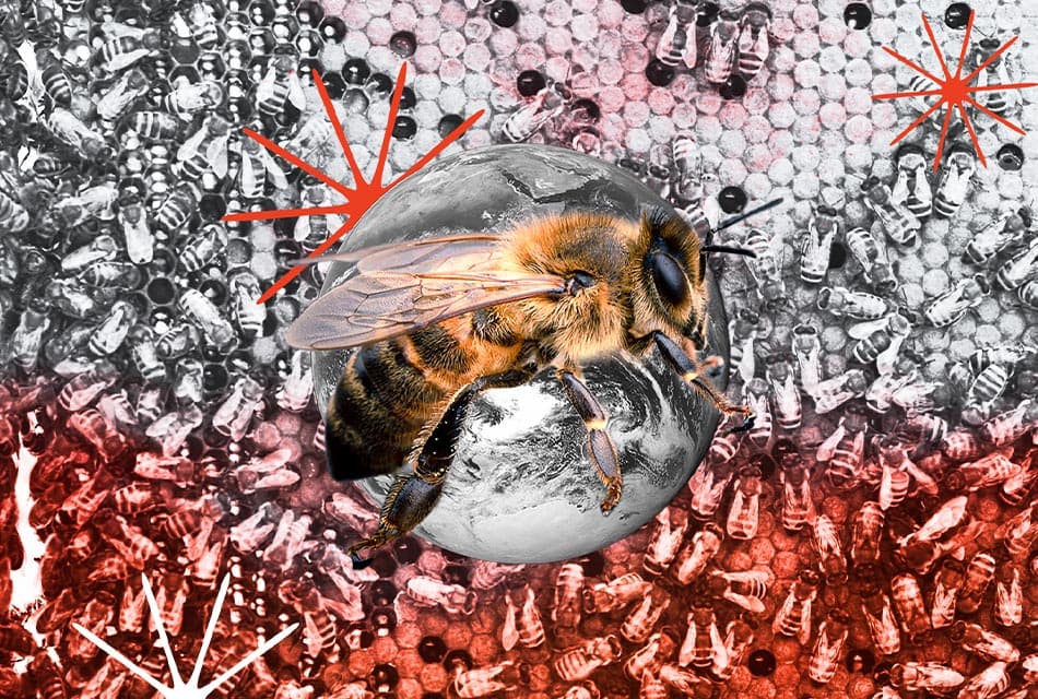 What_Would_Happen_if_All_the_Bees_Went_Extinct_SPACEBAR_Thumbnail_963c8c4ff3.jpeg