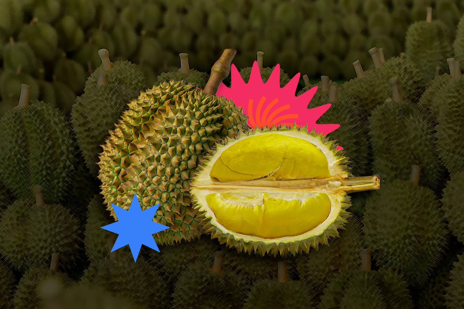 “โจทย์ใหญ่ธุรกิจทุเรียน” ไม่ใช่แค่ขายได้ แต่ต้องมี “คุณภาพเสถียร” ไม่ใช่แค่ “ราคา”