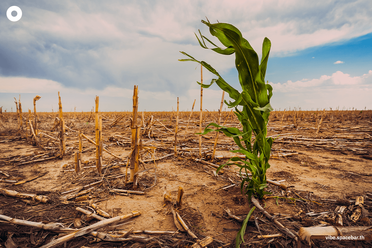 World_Food_Day_2024_SPACEBAR_Photo04_a3a83846ef.png