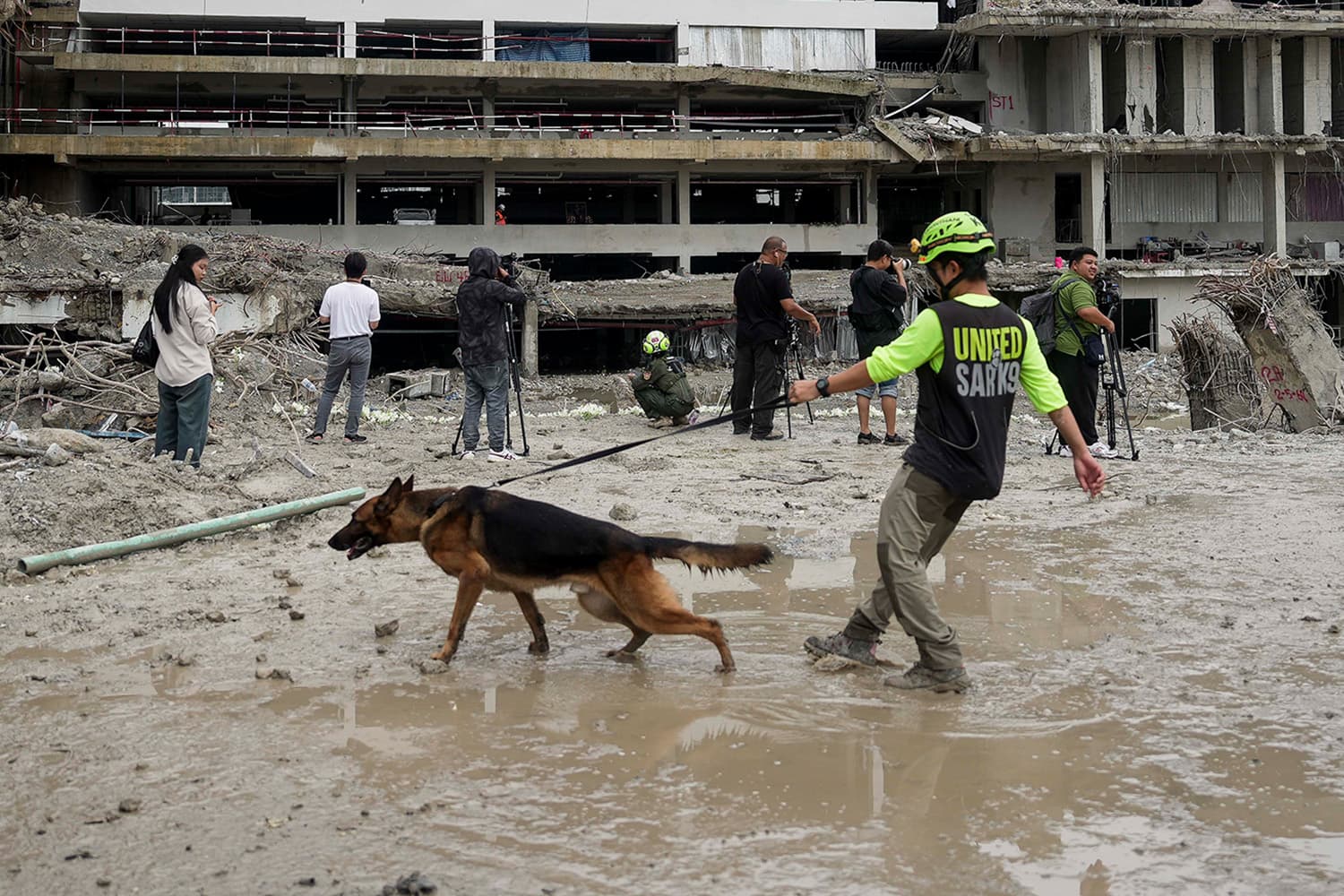 Photo Story : K9 สี่ขากู้ภัย ในวันจบภารกิจ