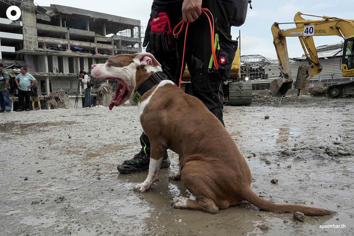 bkk-SAO-k9-13-may-2025-SPACEBAR-Photo03.jpg