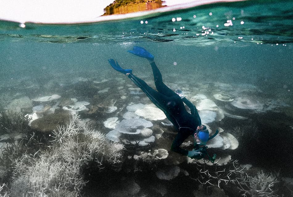 แนวปะการังโลกวิกฤต นักวิทย์ฯ ชี้ข้ามจุดเปลี่ยนที่ไม่อาจย้อนกลับได้แล้ว