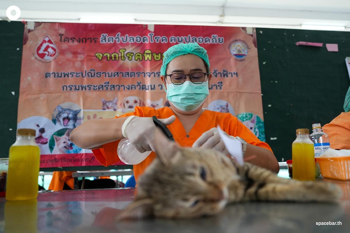 cp-7-eleven-free-sterilization-dogs-cats-world-rabies-day-SPACEBAR-Photo01.jpg
