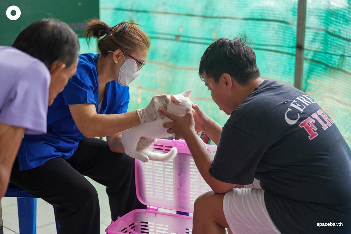 cp-7-eleven-free-sterilization-dogs-cats-world-rabies-day-SPACEBAR-Photo02.jpg