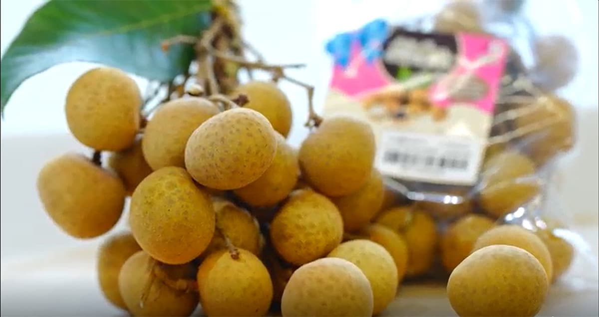 cp-all-7-eleven-longan-fresh-value-end-season-thai-farmers-SPACEBAR-Photo01.jpg