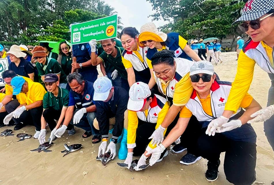 CPF - เครือซีพี ร่วมเก็บขยะชายฝั่ง สร้างความยั่งยืน