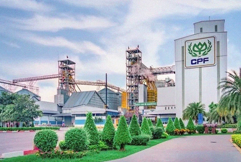 ซีพีเอฟ กำไรพุ่ง 9 เดือนโต 57% แตะ 2.4 หมื่นล้าน