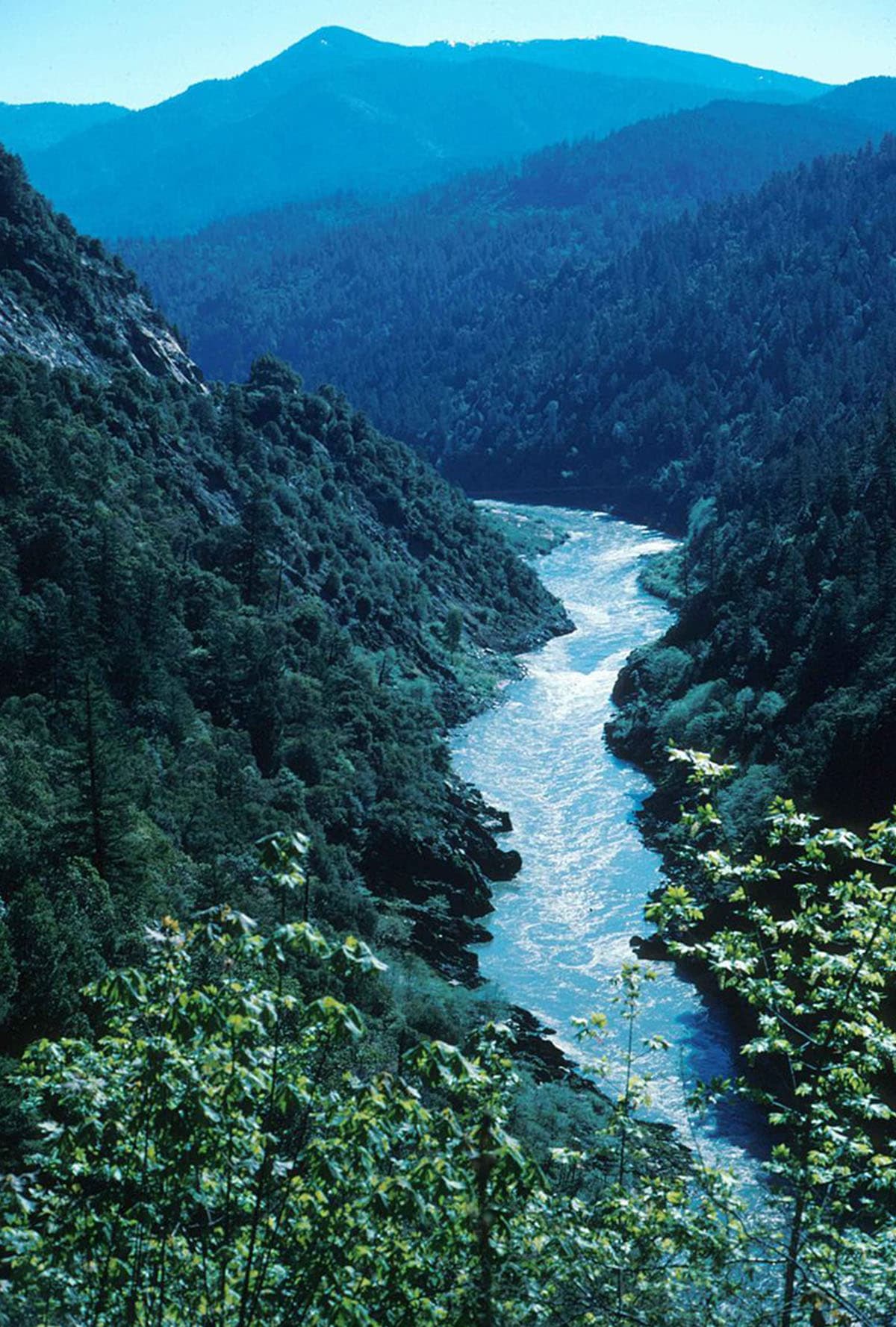 dam_salmon_coming_home_us_SPACEBAR_Photo01_3d2bea71db.jpg
