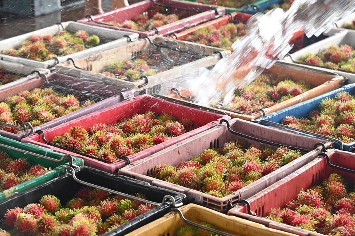 dit-commerce-rambutan-trat-price-support-SPACEBAR-Photo02-1.jpg