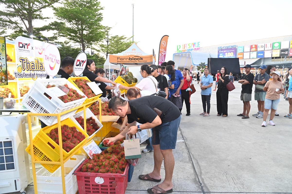 dit-commerce-rambutan-trat-price-support-SPACEBAR-Photo05.jpg