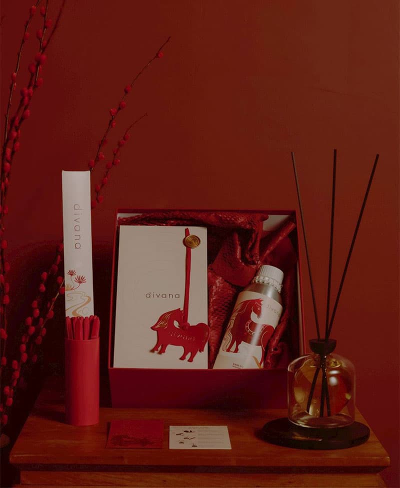 divana-ashva-of-wealth-SPACEBAR-Photo V02.jpg