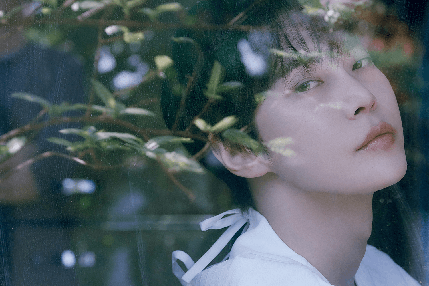 DOYOUNG ส่งต่อพลังแห่งความกล้าฝันผ่านอัลบั้มชุดที่ 2 ‘Soar’