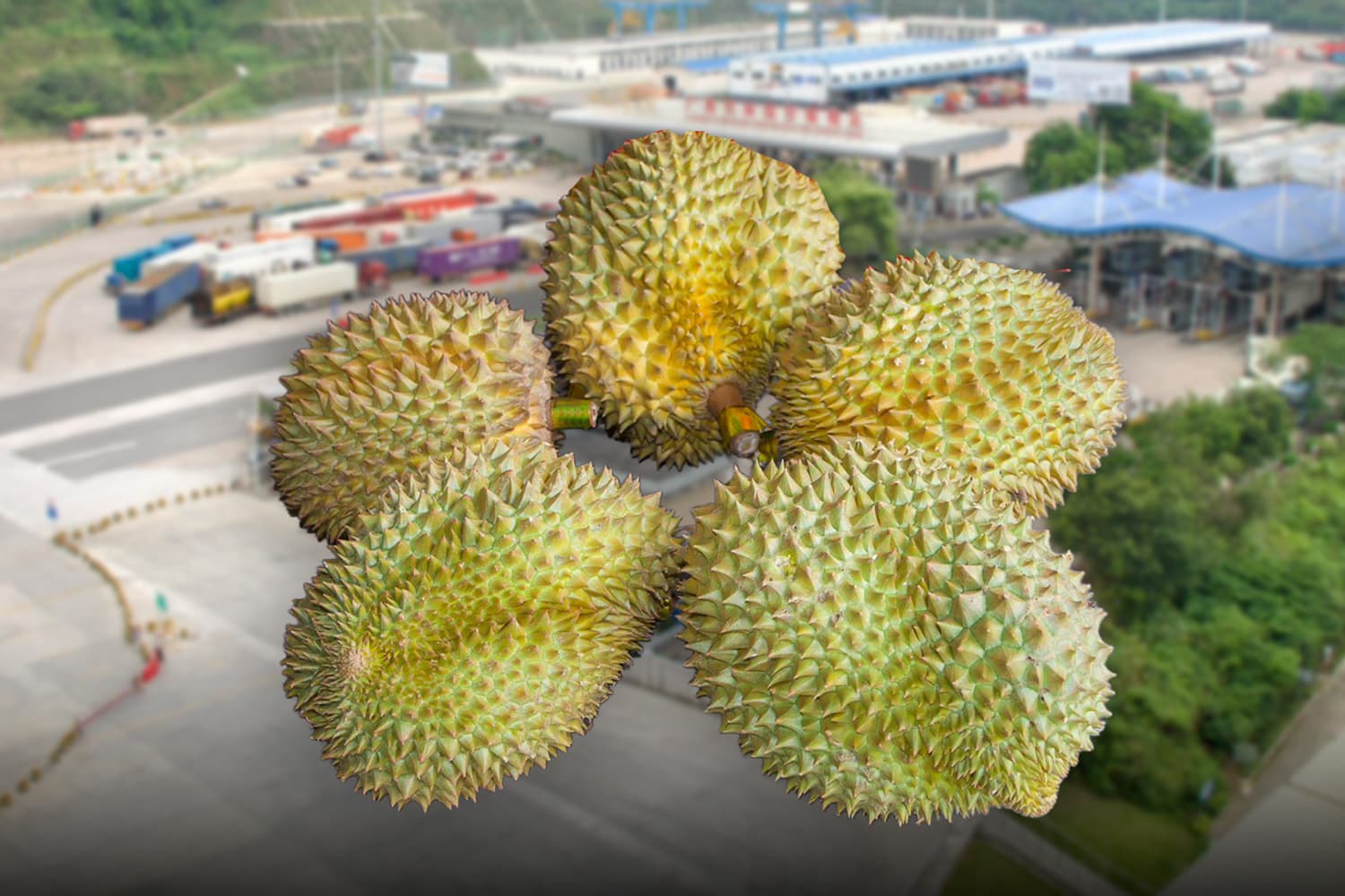 DITP สำรวจรถไฟจีน-ลาว ขนทุเรียนไทยถึงคุนหมิงใน 26 ชั่วโมง