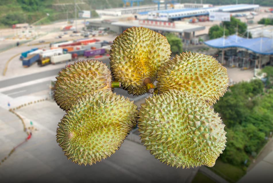 DITP สำรวจรถไฟจีน-ลาว ขนทุเรียนไทยถึงคุนหมิงใน 26 ชั่วโมง