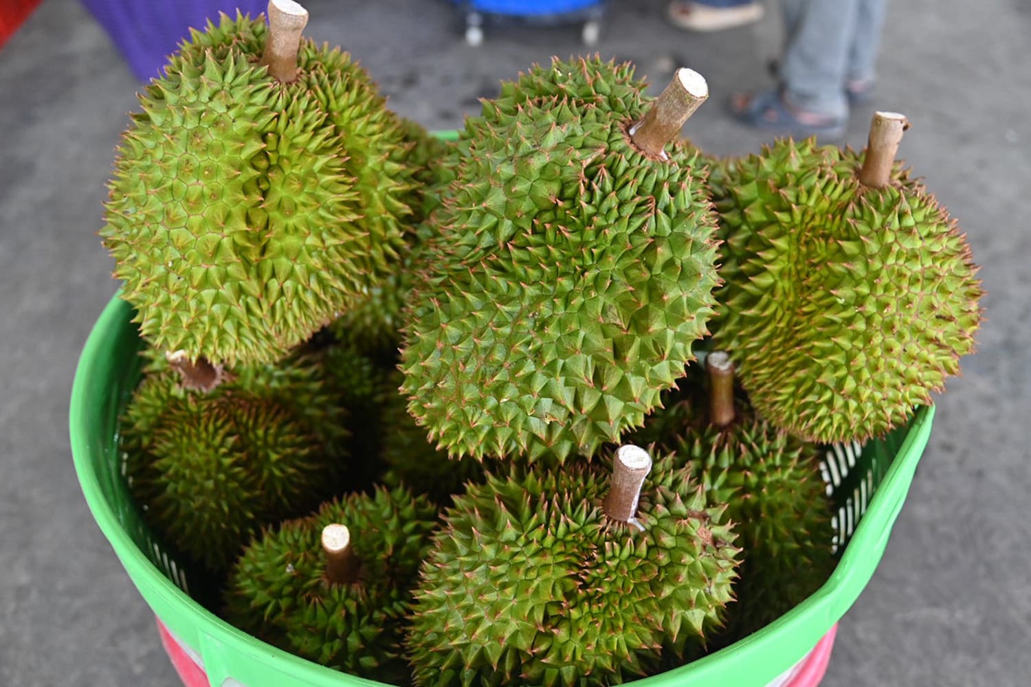 พาณิชย์เร่งแก้วิกฤตทุเรียนใต้ ดึงล้งจันทบุรีเพิ่มจุดรับซื้อ