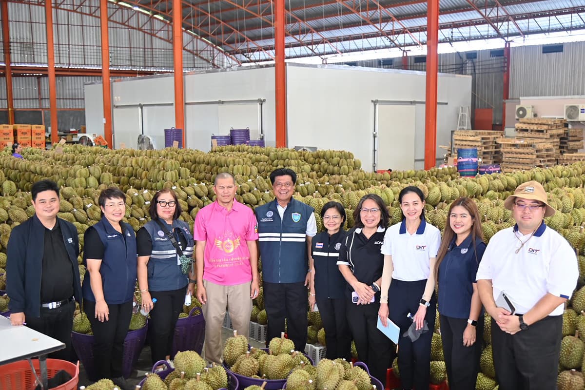 durian-south-logistics-commerce-SPACEBAR-Photo01.jpg
