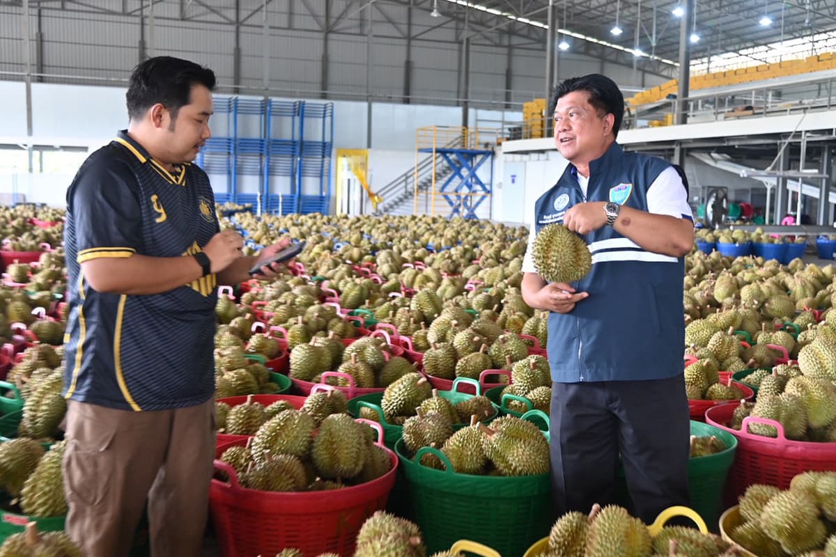 durian-south-logistics-commerce-SPACEBAR-Photo02.jpg