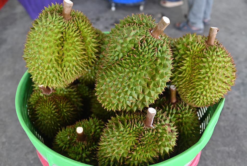 พาณิชย์เร่งแก้วิกฤตทุเรียนใต้ ดึงล้งจันทบุรีเพิ่มจุดรับซื้อ