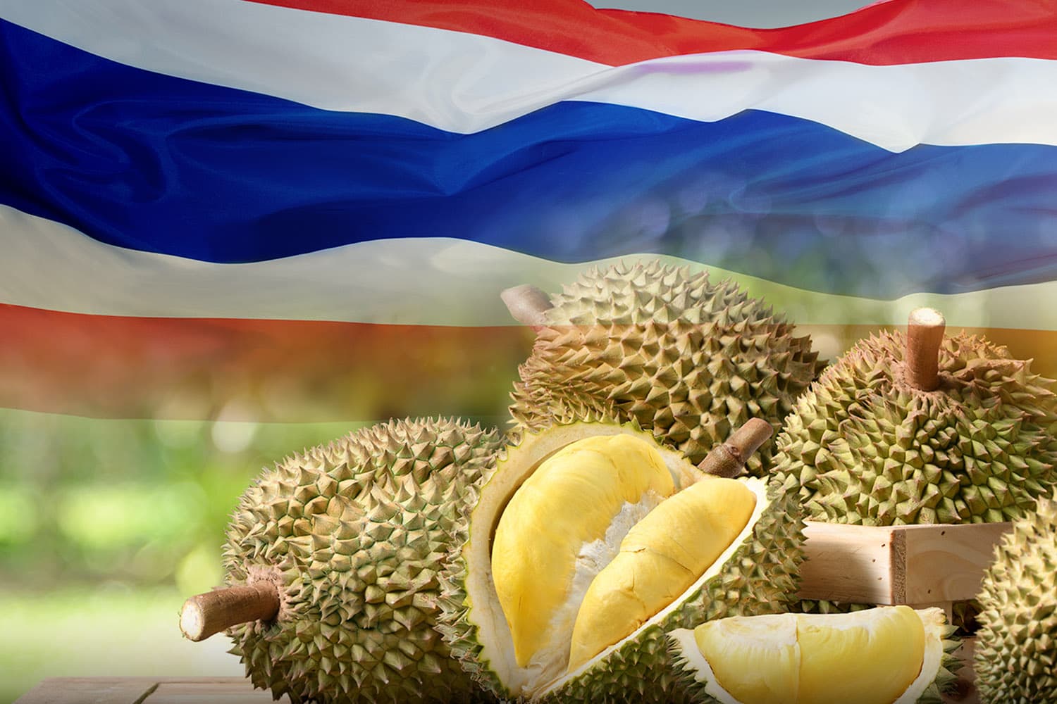 รัฐบาลดันทุเรียนไทยมาตรฐาน 4 ไม่ ลุยส่งออกแตะ 1.5 แสนล้าน