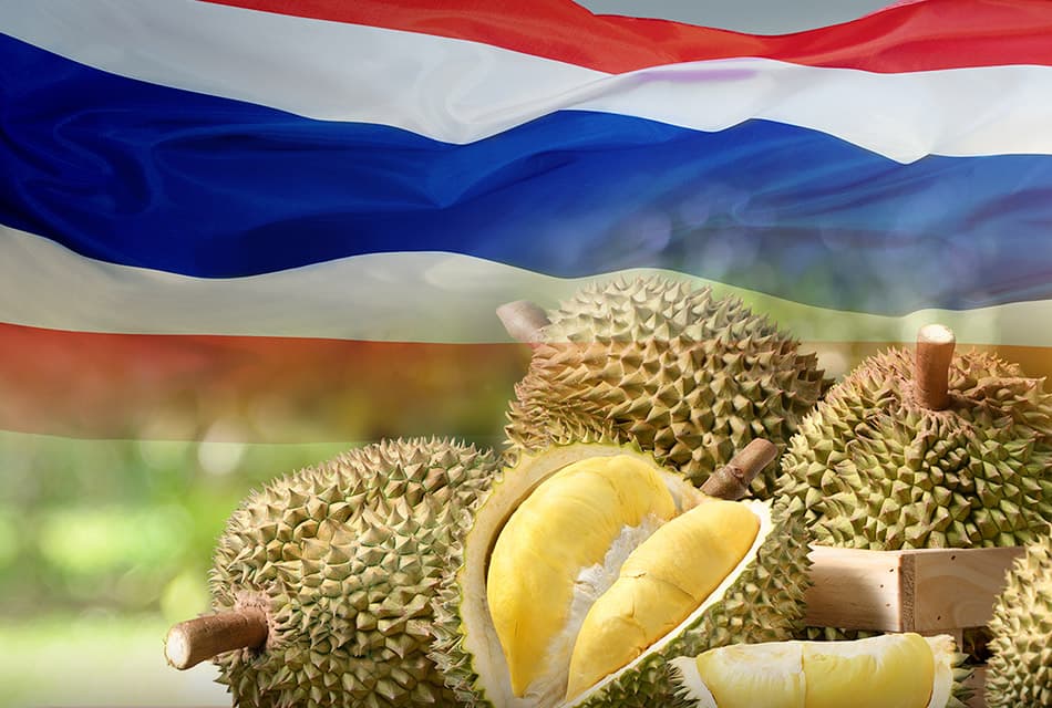 รัฐบาลดันทุเรียนไทยมาตรฐาน 4 ไม่ ลุยส่งออกแตะ 1.5 แสนล้าน