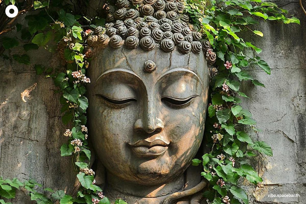 ecoeyes_how_to_heal_the_planet_dharma_SPACEBAR_Photo01_d1de9f036c.jpg